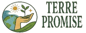 Terre Promise